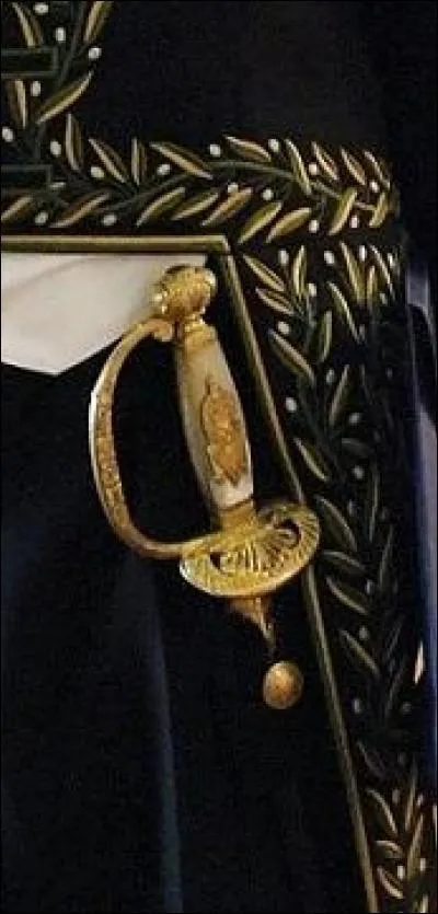 Cette épée ancienne de l'Institut d'Égypte porte le portrait d'Isis Pharia, restaurée par Michel Renonciat. La devise "Fais ce que tu crois être le seul à pouvoir faire" est gravée sur la lame. Le lys, la Marianne, le coq rappellent son intérêt pour l'histoire de France. À quel passionné d'histoire qui nous fait vibrer à chacun de ses romans d'histoire appartient donc cette épée ?