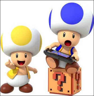 Quelle est la famille de ces champignons ?