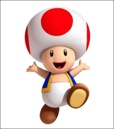 Qui est ce personnage qui aide Mario ?