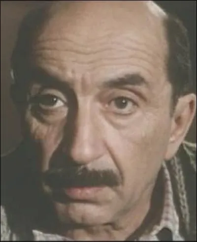 Dans la VF, lequel de ces personnages n'a pas été doublé par Henry Djanik ?