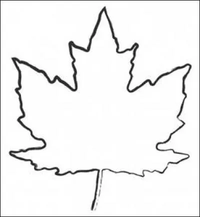 Cette feuille est sur le drapeau du ________________.