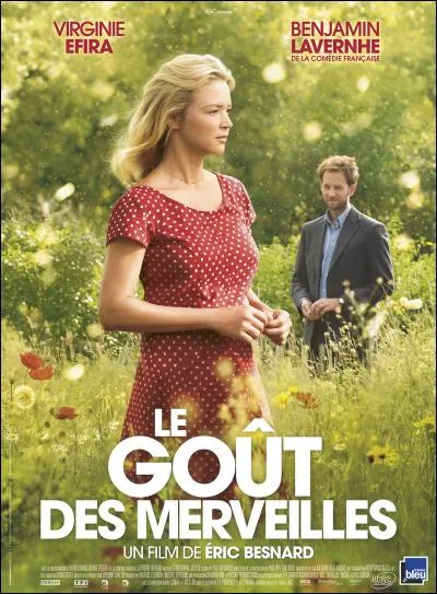Ce film traite des difficult&eacute;s significatives dans les interactions sociales que j'engendre. Je suis :