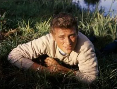 De quelle chanson de Renaud sont extraites ces paroles : "Comme musique de fond / Il nous a mis Johnny / Pendant qu'mon idole chantait / "Les portes du pénis entier" / Les p'tites autos tournaient, et tournaient et tournaient" ?