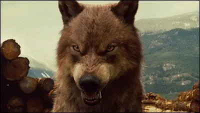 Dans Twilight, quel acteur joue le rôle de Jacob le loup-garou ?