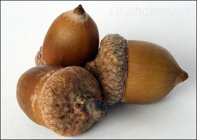 Trouvez le personnage grâce au fruit !