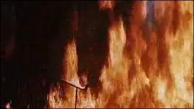 Dans un film tourné en 1959 par Carmine Gallone, la "ville qui doit être détruite" est en flamme. Hiram chef militaire s'exile pour échapper aux Romains, mais doit abandonner sa fiancée Ophir.