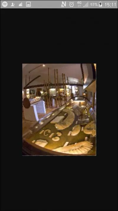 Combien y a-t-il de musées à Digne ?