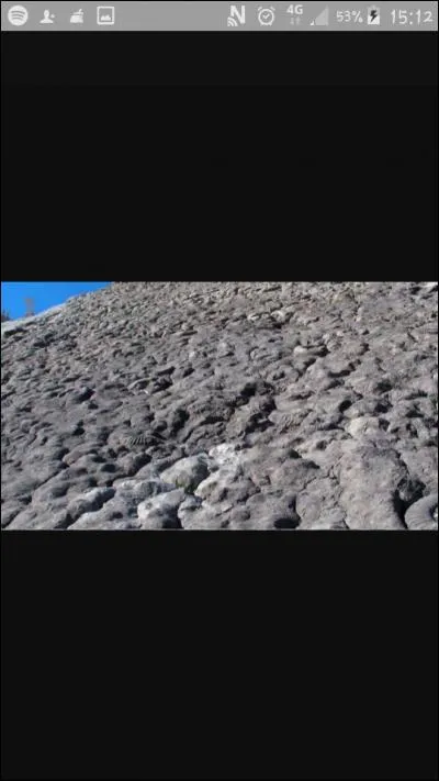 Combien de fossiles peut-on trouver sur la dalle aux ammonites ?