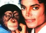 Quiz Les animaux de Michael Jackson