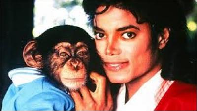 Quel est le nom du singe de Michael Jackson ?
