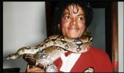 Comment s'appelle le boa constrictor de Michael ?