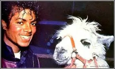 Comment se nomme la lama de Michael ?