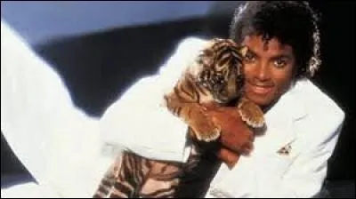 Comment se nomme le tigre de Michael ?