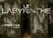Quiz L'preuve 1 : Le Labyrinthe - Le livre