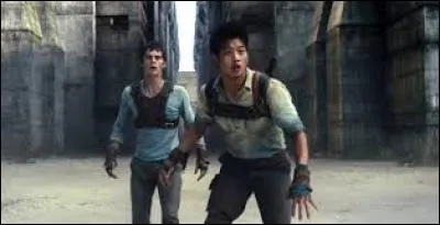 Dans quelle section Thomas et Minho vont-ils en premier ?