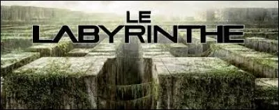 Laquelle de ces particularités n'est pas l'une du Labyrinthe ou des griffeurs ?