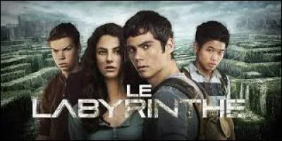 Comment appelle-t-on les nouveaux dans le bloc ?