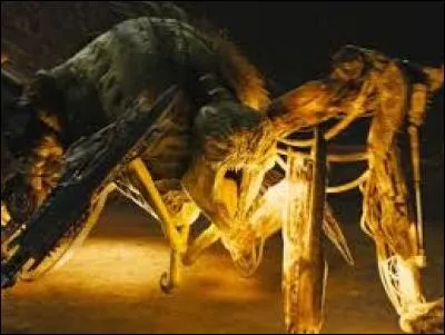 Qui se fait piquer par un griffeur au début ?