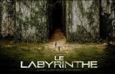 Pourquoi Thomas va-t-il dans le Labyrinthe la première fois ?