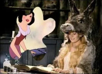 Docteur, je suis Peau d'&Acirc;ne, vais-je finir mari&eacute;e &agrave; mon p&egrave;re ?