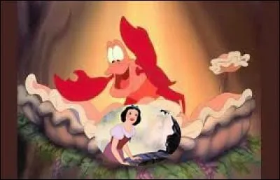 Docteur, je m'appelle S&eacute;bastien, qui vais-je servir ?