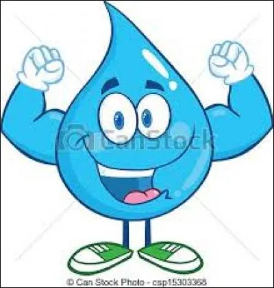 L'eau, comment la récolter ? (une des manières)