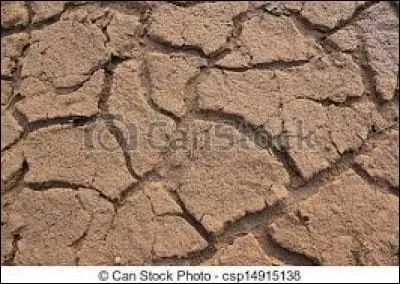 Combien de jours peut tenir un être humain sans boire ?