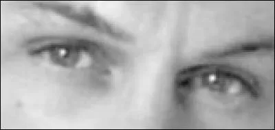 À quel blond appartiennent ces yeux ?