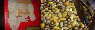 Est-ce que tu as vu la nana ? Que du paraître ! As-tu remarqué qu'elle essaye de péter plus haut que son derrière (restons poli) ? On s'en rend compte, elle porte de la « filoselle » ! 
A vous de trouver ce qu'est la « filoselle » !