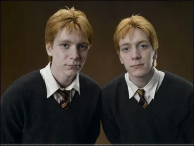 Quelle est la friandise que les jumeaux Weasley n'ont pas créée ?