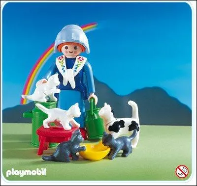 Que vois-tu sur l'image ?