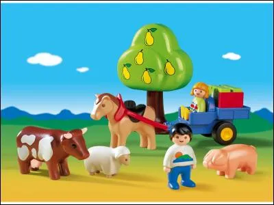 Que sont les fruits sur cet arbre ?