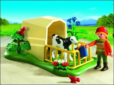 Que vois-tu sur l'image ?