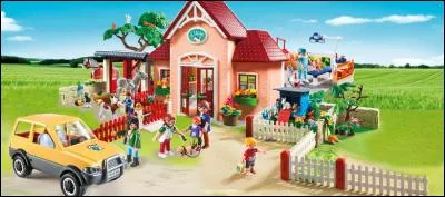 De quelle couleur est la voiture ?