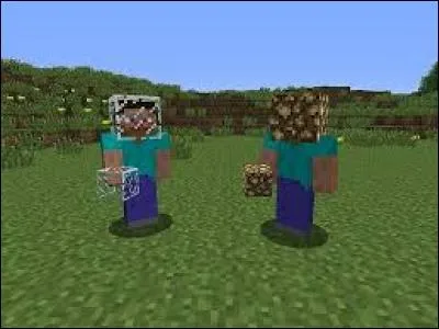 Avec le plugin Hat (quand vous faites "/hat" avec un bloc), il est possible de mettre une "rotten flesh".