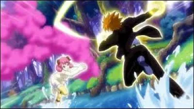 Quel est ce couple ?