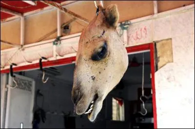 "Après ce somptueux repas, vous ne pourrez plus dire, mon gendre, que je suis ---- avec vous ! " (Complétez ! )