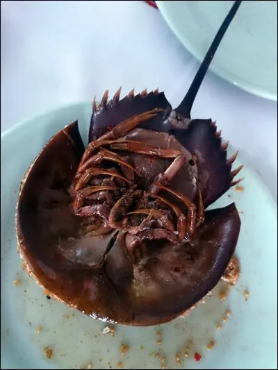 - "Tiens, du caviar ! Et servi dans un crabe, super ! " - "Voulez-vous que je vous dise, mon gendre ? Tête de ---- ! " (Complétez ! )