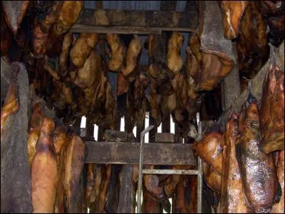 Ouf ! De la viande de requin ! Au moins, ça, c'est mangeable... Sûr ?