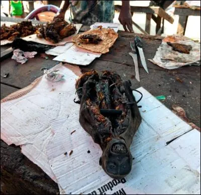 Oulala ! Chez belle-maman, c'est pas le moment de faire le ----- (Complétez ! )