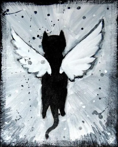 « Si jamais y passe une souris, j'y fais la passe du samouraï. Les poissons rouges c'est du sushi. Faut que j'en mange un avant que je m'en aille » est l'extrait d'une chanson des « Colocs », un groupe musical québécois. Le titre de cette chanson est le nom d'un chat. Lequel ?