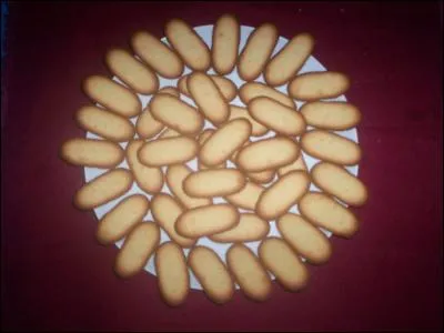 Comment s'appelle ces délicieux biscuits secs à la forme oblongue ?