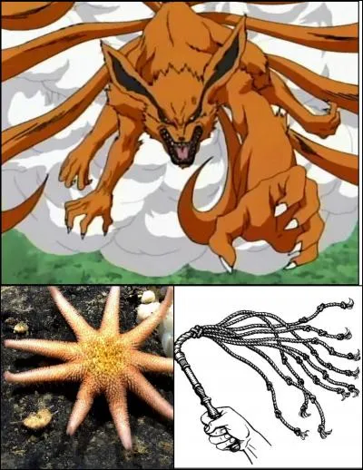 Le « Chat à neuf queues », c'est :