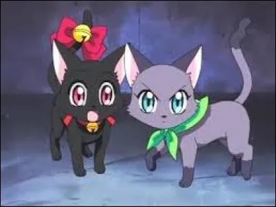 Qui sont ces chats ?