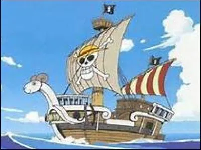 Comment s'appelle le bateau de l'équipage de Luffy ?