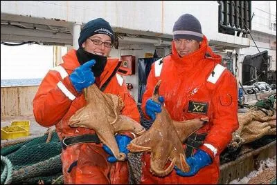 Où peut-on pêcher ces étoiles de mer géantes ? (1, 40 m d'envergure)