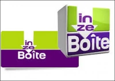 "In ze boîte" est un jeu télévisé français, où s'affrontent deux familles composées d'enfants et d'adultes, répondant à des questions de culture générale. Sur quelle chaine est diffusé ce programme familial ?