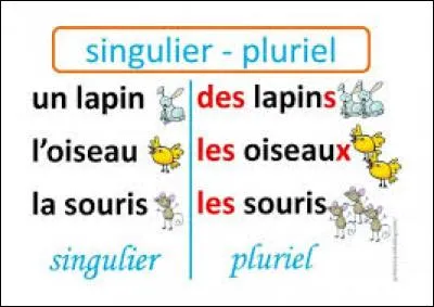 Parmi ces noms au pluriel, un seul peut s'employer au singulier, lequel ?