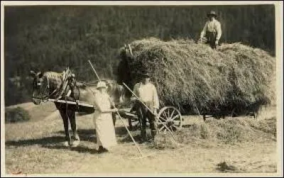 « À notre époque, le  et la   par un cheval ne sont plus d'usage courant. » Choisissez la série des trois réponses correctes.