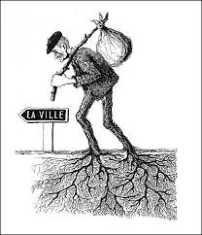 « Exode » est un nom du genre :